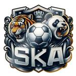 SKA EFootball offline联赛